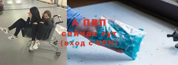 прущие грибы Киренск