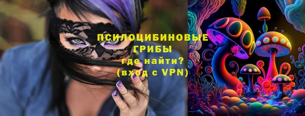 синтетический гашиш Алексеевка