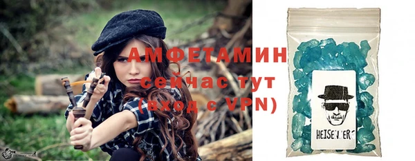 индика Горнозаводск