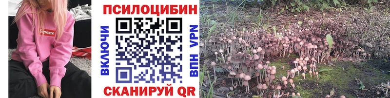 OMG ССЫЛКА  где купить наркоту  Иркутск  Псилоцибиновые грибы Magic Shrooms 